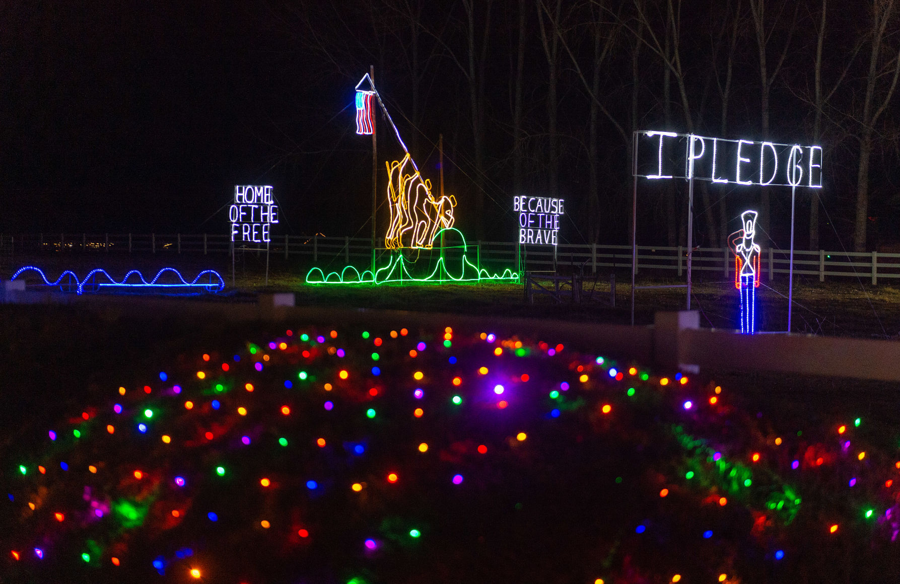 Holiday lights